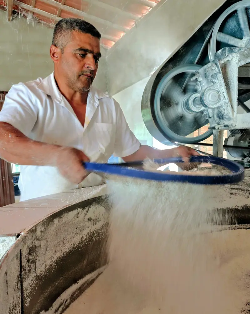 Produção de farinha em unidade de beneficiamento cooperativa